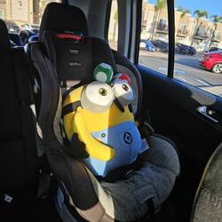 Mignon est bien arrivé aux US