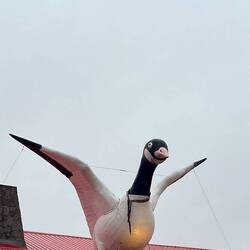 The Wawa emblem - a stupid looking goose.