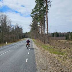 Le paysage est assez monotone