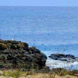 ...wie man sieht 😉