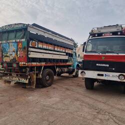 Stellplatz mit bester Gesellschaft