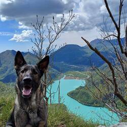 Blick auf den See Lago di Cavazzo