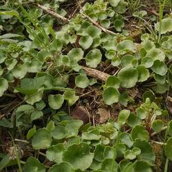 Spéciale dédicace à Alexis 🤤