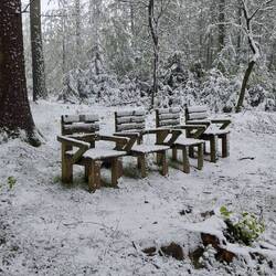 Glück gehabt, alle frei!🙂