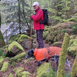 Ein wahrer Traumpfad!👍