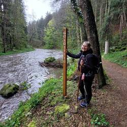 Alle 10 km ein Goldsteig Pfosten!