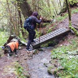 Viele Bäche, viele Brückchen!