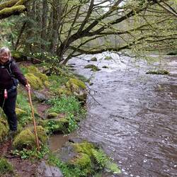 Wir mussten auch ordentlich klettern!