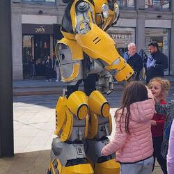 Bumblebee the Transformer