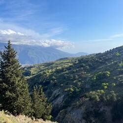 Dadurch bekommt man immer wieder..