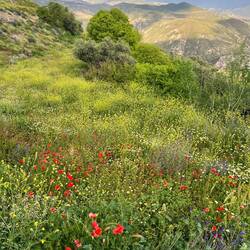 Der Weg zu Marlen ist oftmals eher schwer auffindbar.