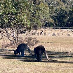 Am Tom Groggin Camp Ground