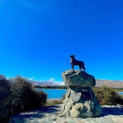 The Sheepdog Memorial 🐶
