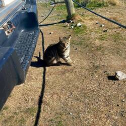 Besuch am Free Camp 🐈‍⬛