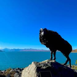 Memorial am Lake Pukaki 🐏