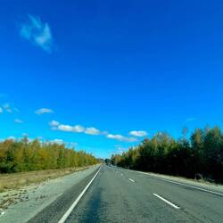 Es wird herbstlich 🍂