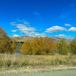 Bei Twizel - Weirepo Arm 🏞️