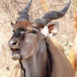 Caught With Food in My Mouth