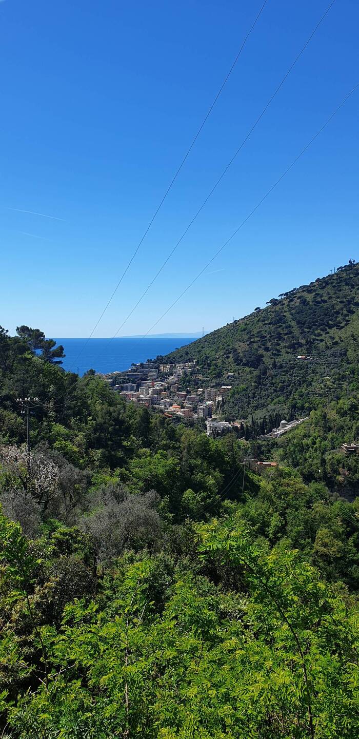 Blick auf Genua