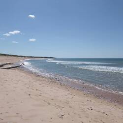 Spot pause sandwich avec baguettes savoureuses