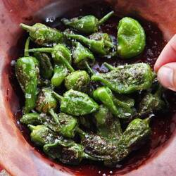 Padron Peppers!