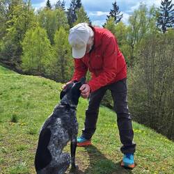 Frodo wollte, durfte aber nicht!