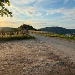 Die Marienburg im Abendlicht - puh war die Anfahrt dort hoch so was von steil 🫣