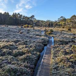 Frosty start
