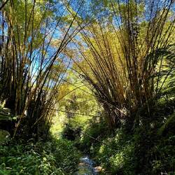 Spaziergang zu den Wasserfällen