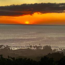 Und wieder eine neue Variante