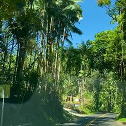 Ein kurzer Einblick in eine Scenic Road.
