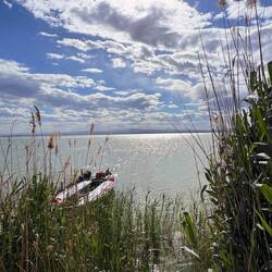 Parc Natural de l'Albufera