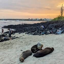 Playa de la Estación