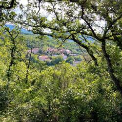 The Domaine spotted through the trees