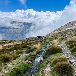 ..viele Wasserläufe, die allesamt..