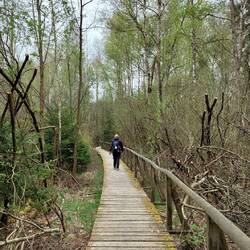 Einige 100 m Holzstege!