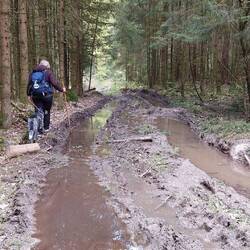 Die ersten Schritte auf der Nordvariante!