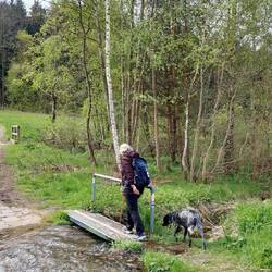 Auch der Bach hat etwas Hochwasser!