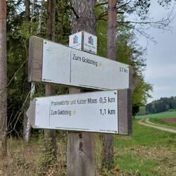 Wir folgen der Kulzer Moos Variante!