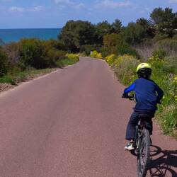 Zooming towards the coast