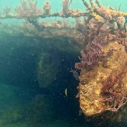 Mystic Wind Trimaran