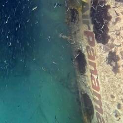 Air Panama BAE Jestream