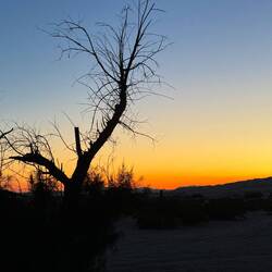 Sonnenuntergang hinter den Dünen