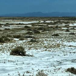 Die ersten Salzflächen
