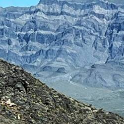 Hier freut sich der Geologe