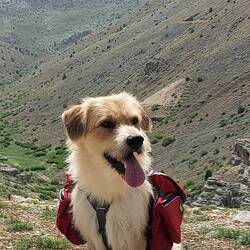 Mit Rucksack. Muss aber noch modifiziert werden.