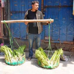 Hab gehört bei euch gibts grad spargel, grüsse an mein Lieblingsgemüse