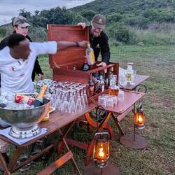 Contemplating the choices - a real Wow!