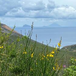 im Hintergrund Stromboli und Pareira