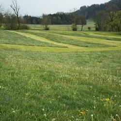 Haben hier wohl ne besondere Mähkunst